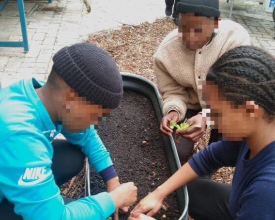 Youngsters preparing soil