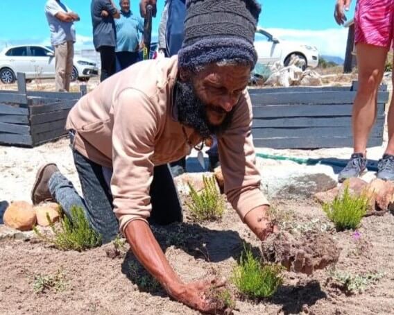 Man planting plants
